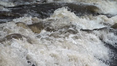 Current in a river at high water. Stock Footage 154119724
