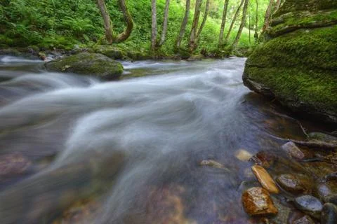 Current in a river surrounded by large mossy rocks Stock Photos
