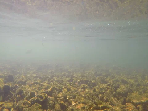 Current river under water with current running towards camera Stock Footage 80836927