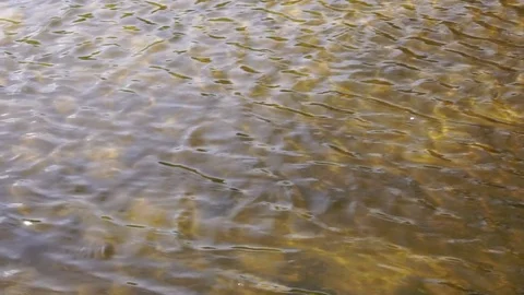 The current shallow river. Glare on the water. Background slow motion Stock Footage 74933856
