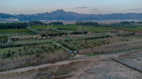 Current view of the orange fields of valencia Stock Photos