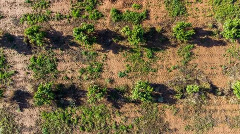 Current view of the orange fields of valencia Stock Photos