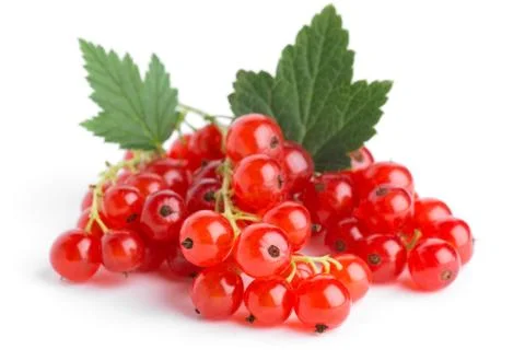 Current1 192 Stock Photos