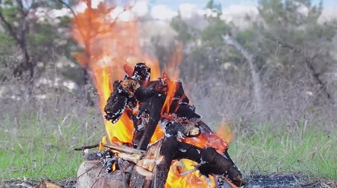 Currently Cracking Fire in the Open Air Stock Footage 49367782