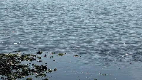 Currents on a lake Stock Footage 310641893