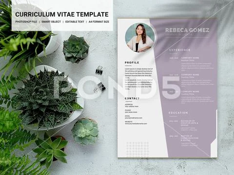 PSD Photoshop Template: Curriculum vitae template #205559315