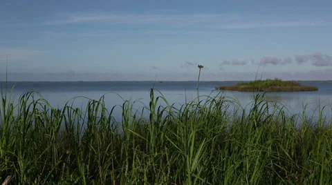 Currituck Sound Stock Footage 36753077