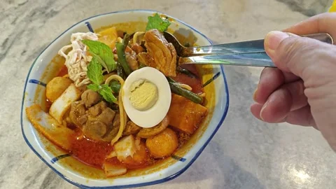 Curry chicken noodle Stock Footage 306278676
