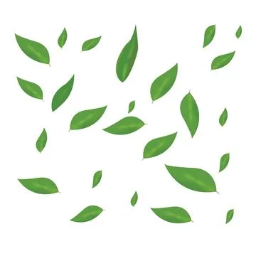 Curry leaves background Stock Illustration