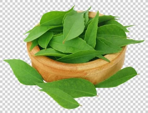 Curry Leaves Stock Photos