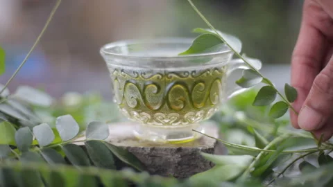 Curry leaves tea in a cup made from fresh Murraya koenigii Stock Footage 320248764
