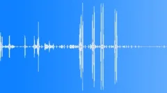 Curs Barking - Dogs Bark sound effect Sound Effect