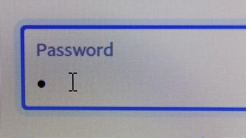 The cursor finds a place to enter the password and the password is entered. Video stock 237496187