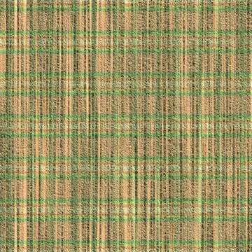 Curtain cloth Stock Illustration