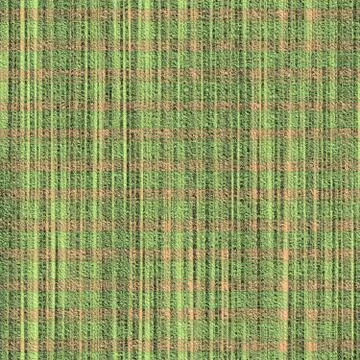 Curtain cloth Stock Illustration