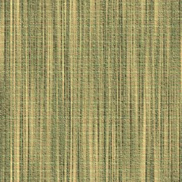 Curtain cloth Stock Illustration