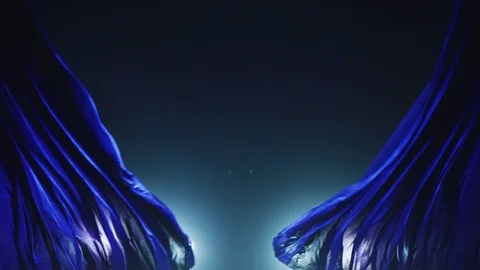 Curtain 動画素材 124620252