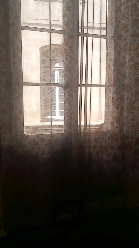 Curtain moved by the wind Stock Footage 313797545