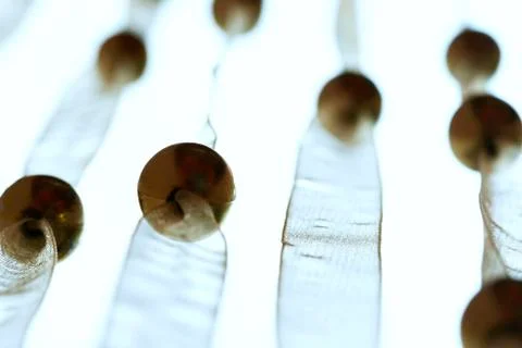 Curtain Stock Photos