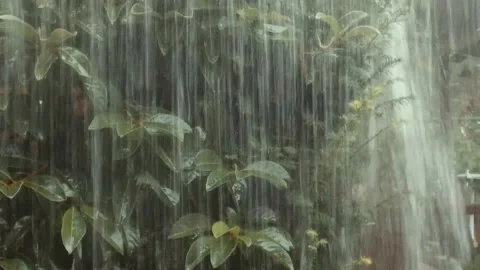 Curtain of rain Stock Footage 148779736