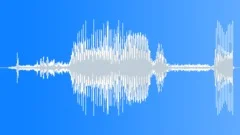Curtain Rod Open SlideSound Effect