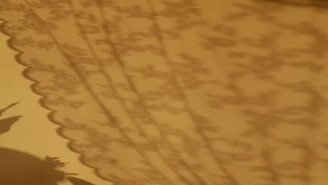 Curtain Shadow Cast on White Wall with Natural Sunlight Stock Footage 327344186