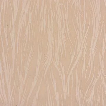 Curtain texture Stock Photos