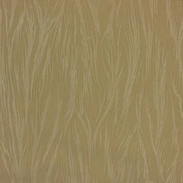 Curtain texture Stock Photos