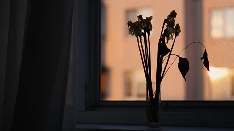 A curtain in the wind by the window at sunset Video stock 333206375