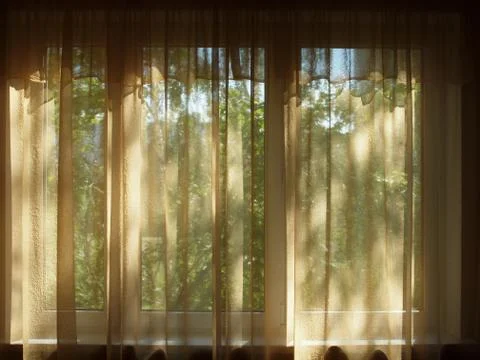 Curtained window in a dark room, a view of the green trees. Stock Photos