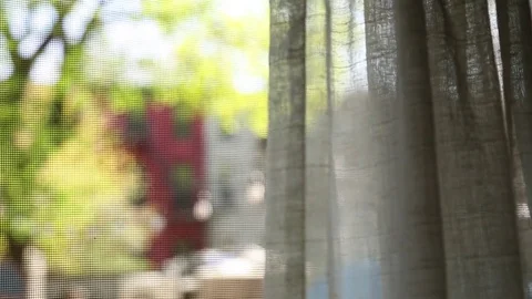 Curtains blow in the breeze Video stock 74640322