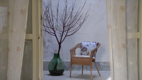 Curtains blowing in the wind, seen from the window and tree in a large vase Stock Footage 297767943