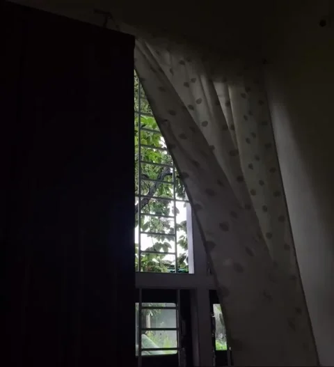 Curtains Blowing in the Wind by Window with Green Foliage Video stock 341840845