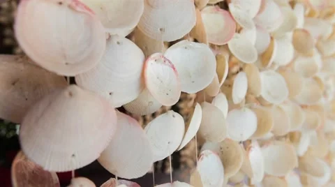 Curtains made of seashells Stock Footage 49194447