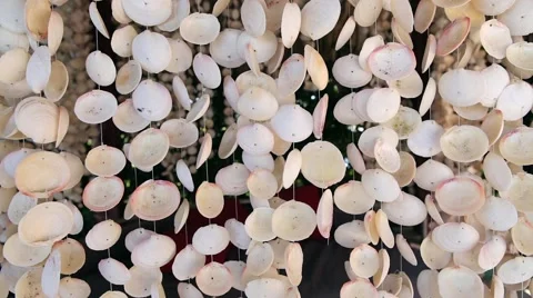 Curtains made of seashells Video stock 52082206