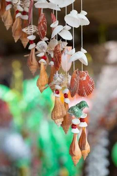 Curtains made from shells Stock Photos
