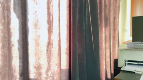 Curtains in the office Stock Footage 310252354