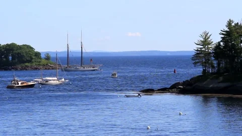 At The Curtis Island Light Stock Footage 188179928