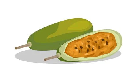 Curuba Fruit Illustrazione stock