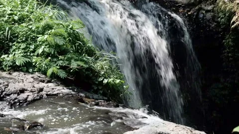 Curug Omas Bandung Stock Footage 245461831