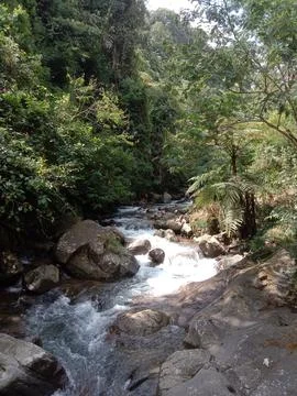 Curug (water fall) Stock Photos