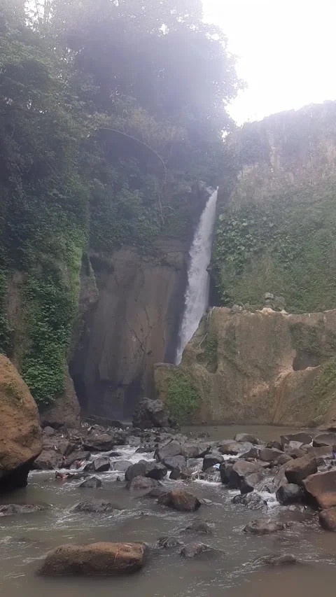 Curugjatakeportrait Video stock 242736571