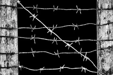 Curve barbed wire stretched between wooden fence posts isolated on black Stock Photos