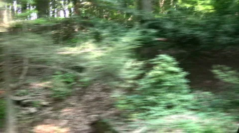 Curve Stock Footage 144510