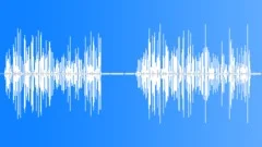 CurveBilled Thrasher MCU Song Sound Effect