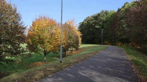 Curved asphalt path leads through autumn park with colorful trees and street lam Stock Footage 319841825