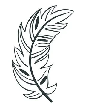 Curved beautiful bird feather vector illustration Stockillustratie