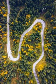 Curved bending road in the forest. Aerial image of a road. Forrest pattern. S Stock Photos