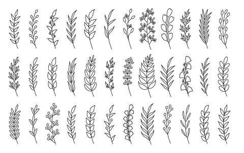 Curved black linear laurel branches set vector Stock Illustration