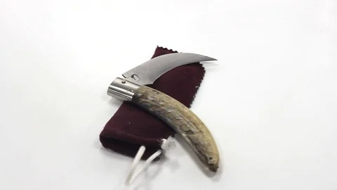 Curved blade knife with bone handle Stock Footage 103317744